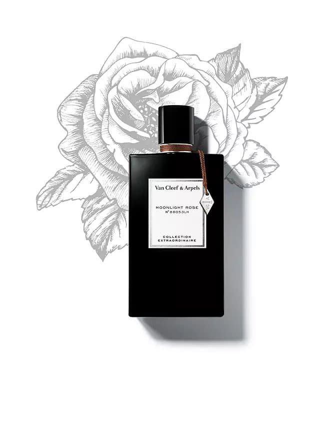 عطر فان كليف اند اربيلز مون لايت روز اودى بيرفيوم 75 مل