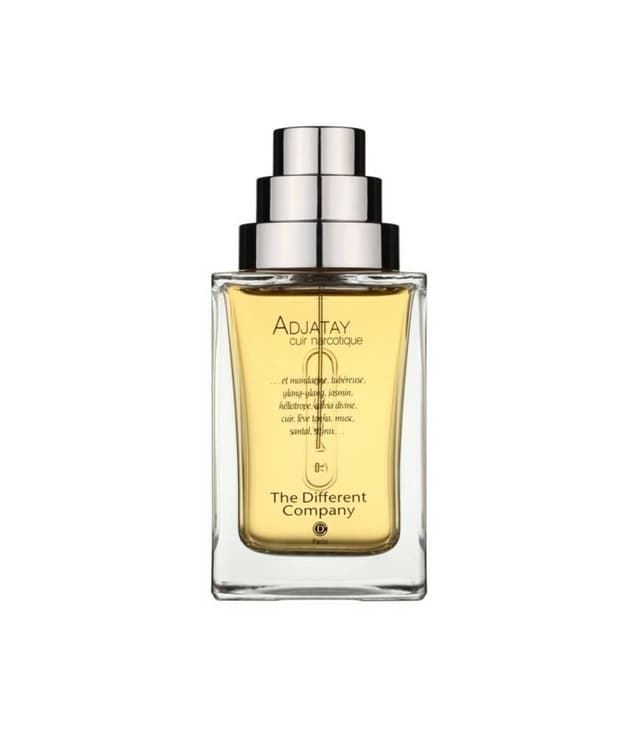 عطر ذا ديفرينت كومباني أجاتاي كوير ناركوتيك أودى برفيوم 100 مل