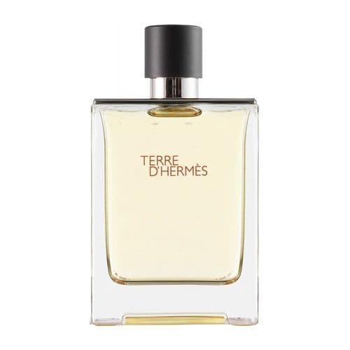 عطر تيرى دى هيرمس للرجال اودى تواليت 100 مل 