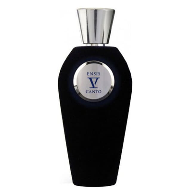 عطر فى كانتو اينسس - اودى بيرفيوم 100 مل 