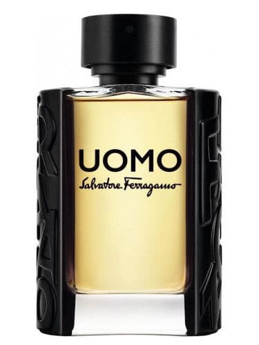 عطر سلفاتور فيراغامو اومو اودى تواليت 100 مل