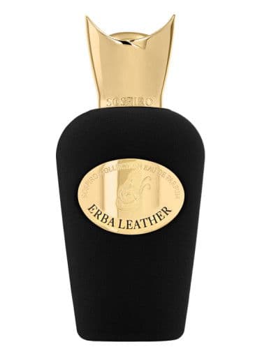 عطر سوسبيرو ايربا ليذر اودى بيرفيوم 100 مل 