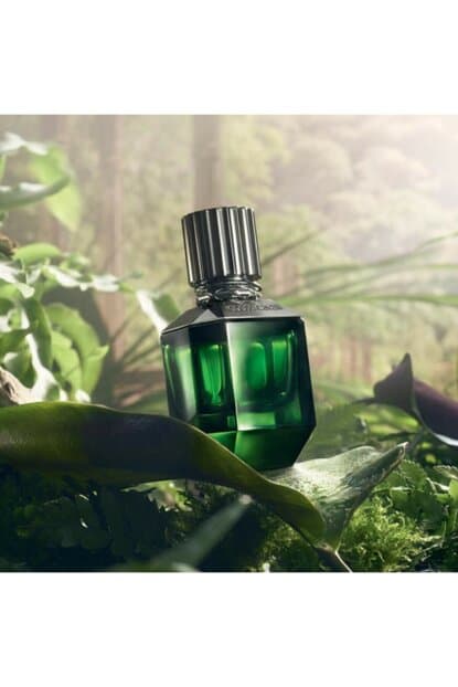 عطر روبيرتو كافالى براديسو فاوند للرجال اودى تواليت  50 مل