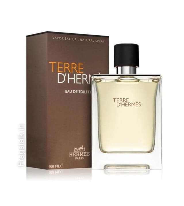 عطر تيرى دى هيرمس للرجال اودى تواليت 100 مل 