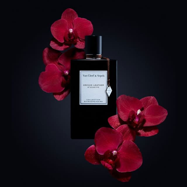 عطر فان كليف اوركيد ليذر اودى بيرفيوم 75 مل